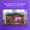 Roku Streaming Stick